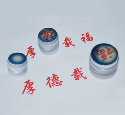 光纤倒像器